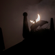Illustration for article titled Today's Solar Eclipse in 22 Stellar Photos